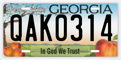 GA license plate QAK0314