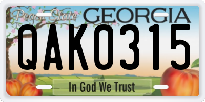 GA license plate QAK0315