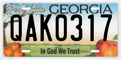 GA license plate QAK0317