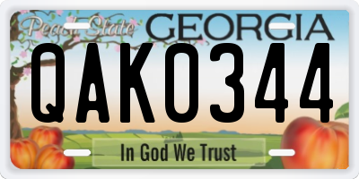 GA license plate QAK0344