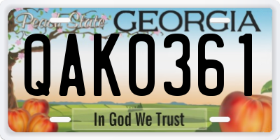 GA license plate QAK0361