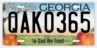 GA license plate QAK0365