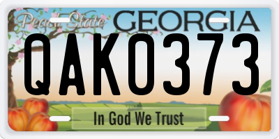 GA license plate QAK0373