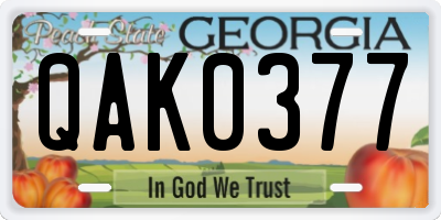 GA license plate QAK0377