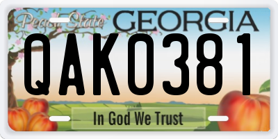 GA license plate QAK0381