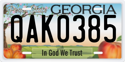 GA license plate QAK0385