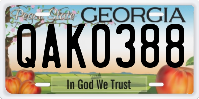 GA license plate QAK0388
