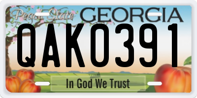 GA license plate QAK0391