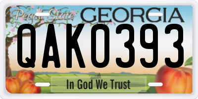 GA license plate QAK0393