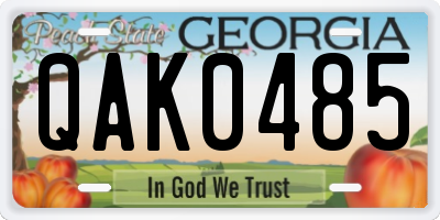 GA license plate QAK0485