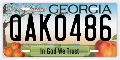 GA license plate QAK0486