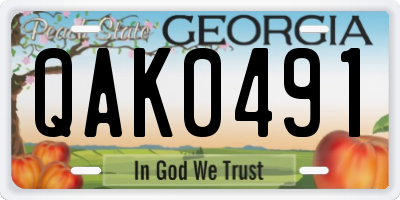 GA license plate QAK0491