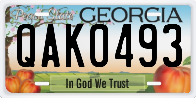 GA license plate QAK0493