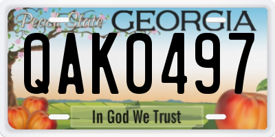 GA license plate QAK0497
