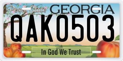 GA license plate QAK0503