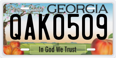 GA license plate QAK0509
