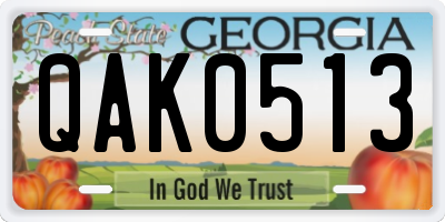 GA license plate QAK0513