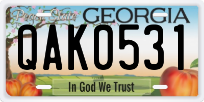 GA license plate QAK0531