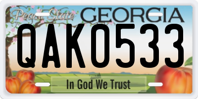 GA license plate QAK0533