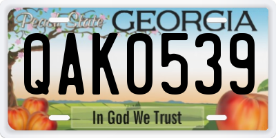 GA license plate QAK0539