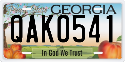 GA license plate QAK0541