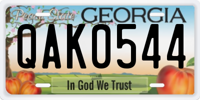 GA license plate QAK0544