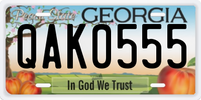 GA license plate QAK0555