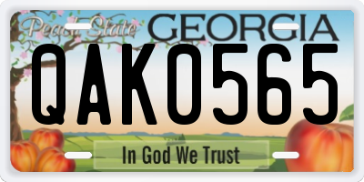 GA license plate QAK0565