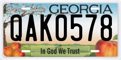 GA license plate QAK0578