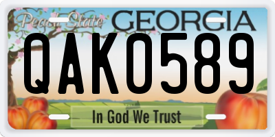 GA license plate QAK0589