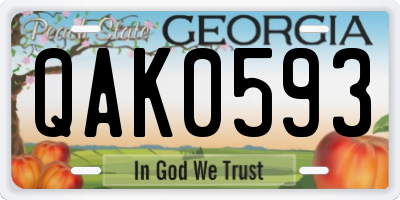 GA license plate QAK0593