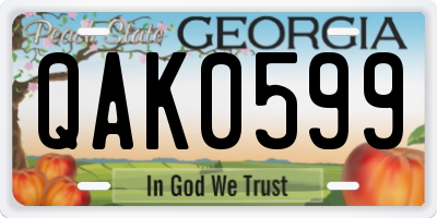GA license plate QAK0599
