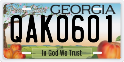 GA license plate QAK0601