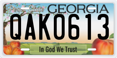 GA license plate QAK0613