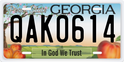 GA license plate QAK0614