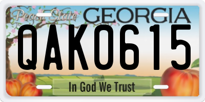 GA license plate QAK0615