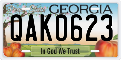 GA license plate QAK0623