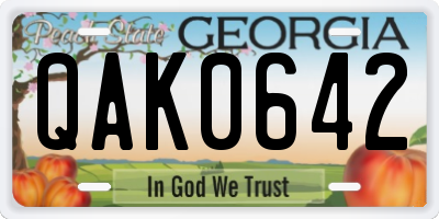 GA license plate QAK0642