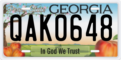 GA license plate QAK0648