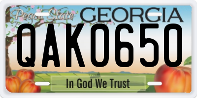 GA license plate QAK0650