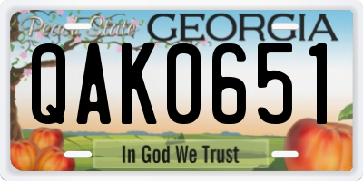 GA license plate QAK0651