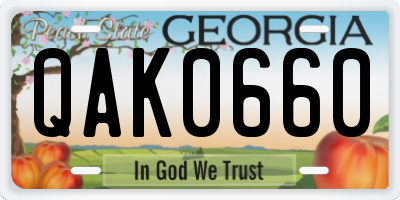 GA license plate QAK0660