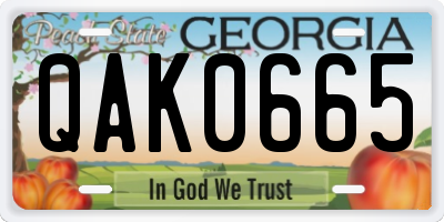 GA license plate QAK0665