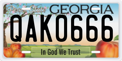 GA license plate QAK0666