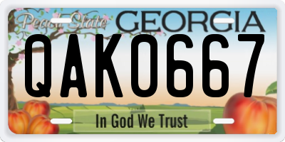 GA license plate QAK0667