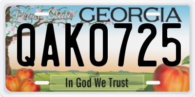 GA license plate QAK0725
