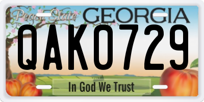 GA license plate QAK0729