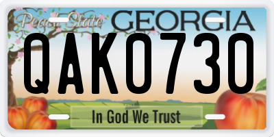 GA license plate QAK0730
