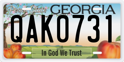 GA license plate QAK0731