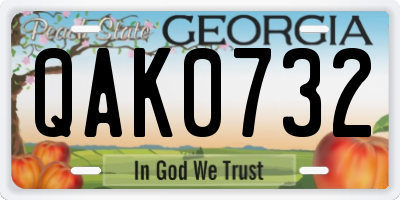 GA license plate QAK0732